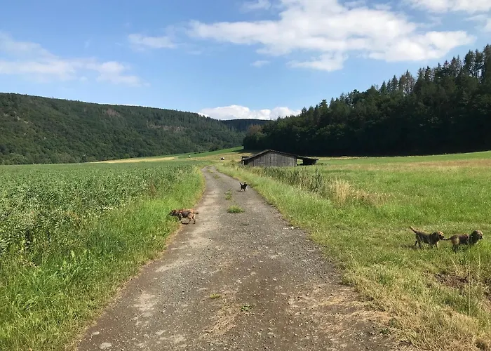 Frankenblick Lejlighed